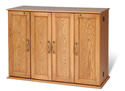 Hybrid Locking Media Storage Console